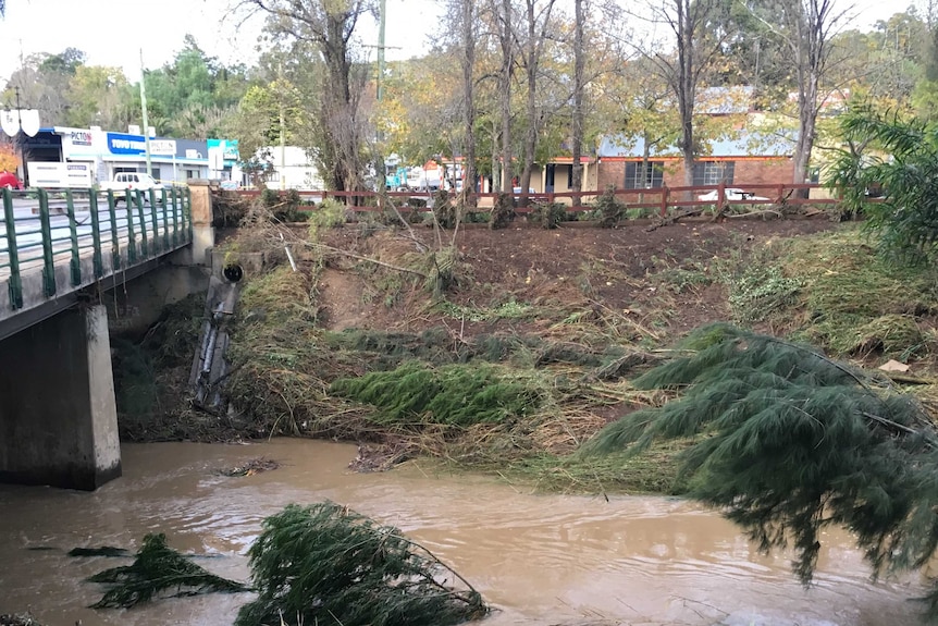 A creekbed filled with branches and debris.