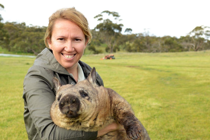 Wombat Awareness Organisation founder Brigitte Stevens.