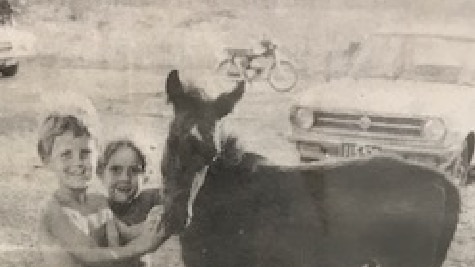 My Territory Childhood - Peter Maley with his little brother holding a foal around the neck smiling at the camera