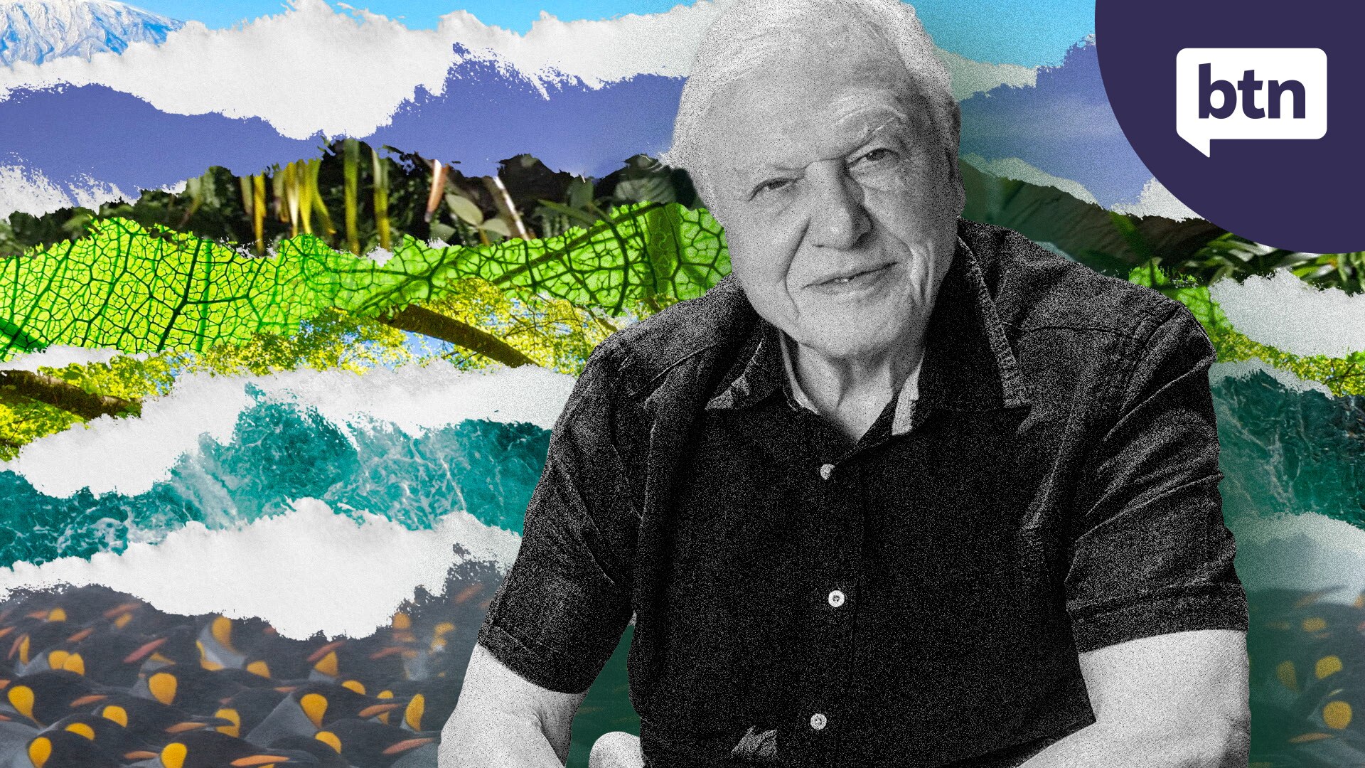 Mass Extinction - Behind The News