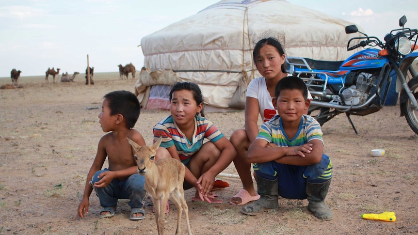 Four Mongolian locals crouched down in front of a home. Camels in the background.