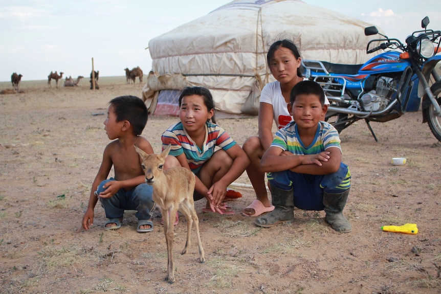 Four Mongolian locals crouched down in front of a home. Camels in the background.