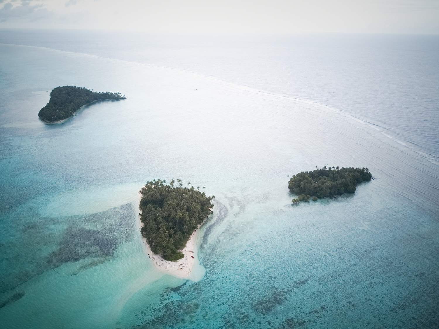 Месторождения смерти в болотах Аляски Времена и причины катастроф Дзен