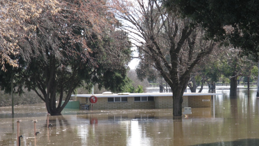 Longford caravan park