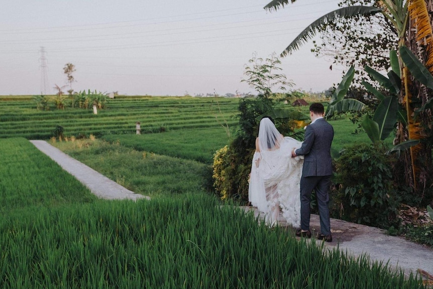 A view of a bride in a white gown and groom walking on a path through rice paddies.