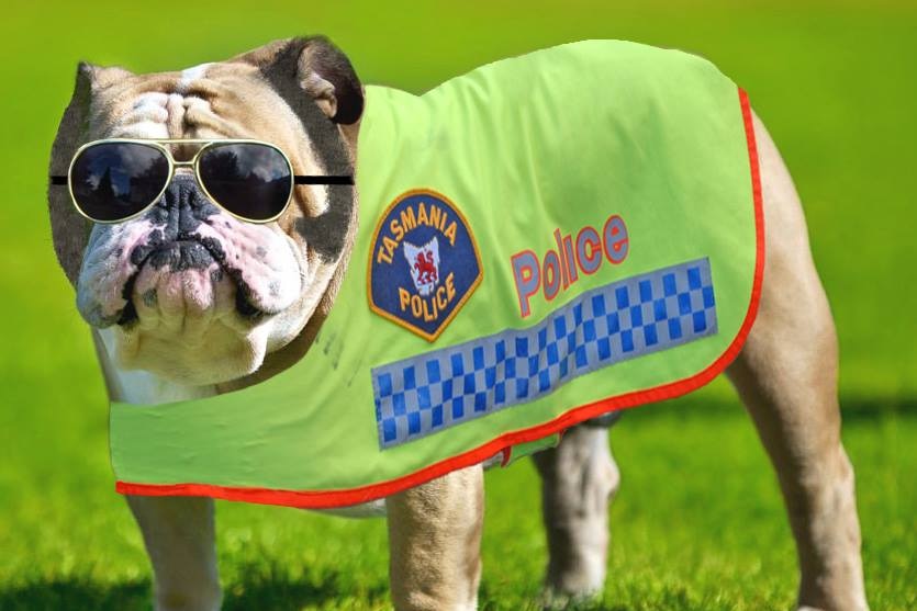 A dog wearing photoshopped sunglasses and a police jacket.