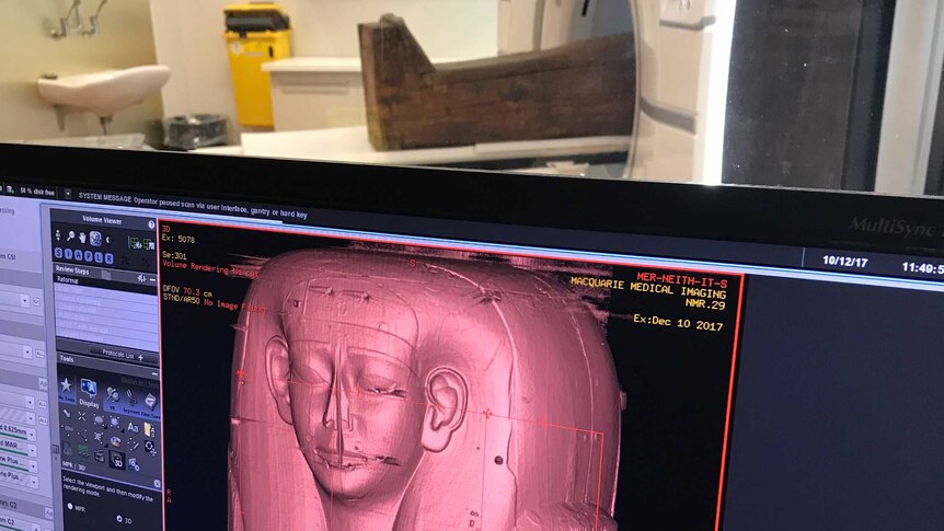 Mer-Neith-it-es being scanned and showing on the computer screen.