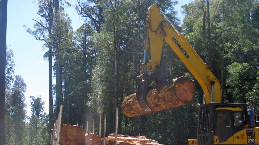 A log truck loads up in Tasmania