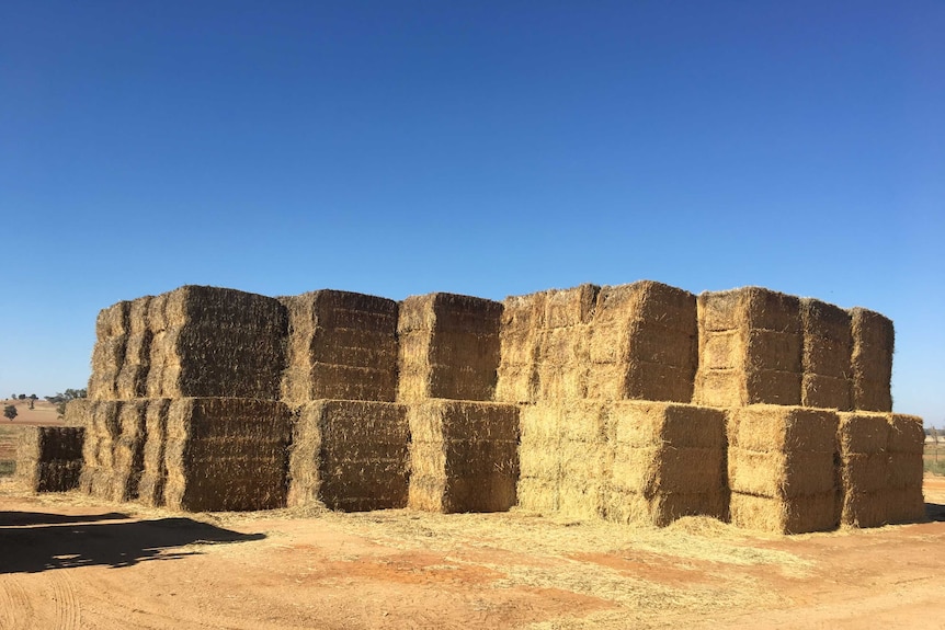 Bales of hay are stacked in a large pile.