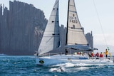 Dolphins escort yacht Cadibarra as it nears Hobart