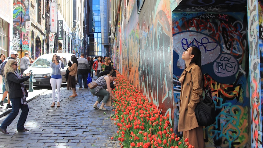 A woman stands in Melbourne's Hosier Lane surrounded by tulips and people taking photos.