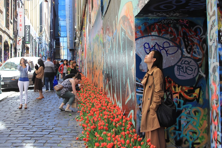 A woman stands in Melbourne's Hosier Lane surrounded by tulips and people taking photos.