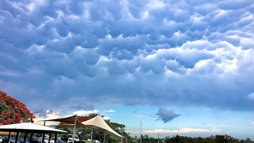 Bubbly mammatus storm clouds over Tewantin RSL Park, Gubbi Gubbi Country, white and grey clouds above a playground
