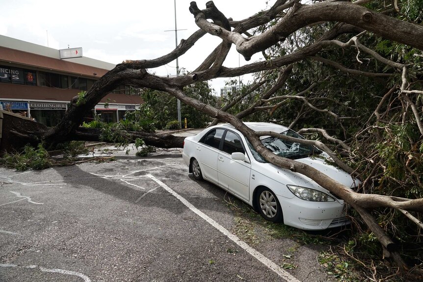 A car crushed by a tree in Darwin's CBD.