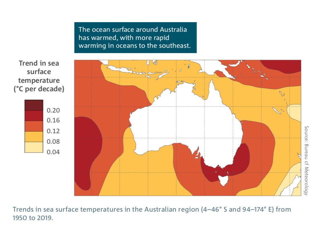 Climate change pushed ocean temperatures to record high in 2020, study finds ABC News