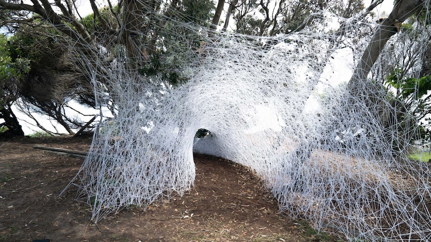 Sculpture “Lair” by Britt Mikkelsen is a spider web fabricated out of 60kms of biodegradable cotton string.