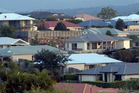 House roofs in Australian Suburbia (Giulio Saggin: ABC News)