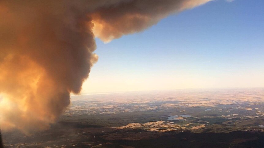 Photo of the Adelaide Hills bushfire as seen from a plane