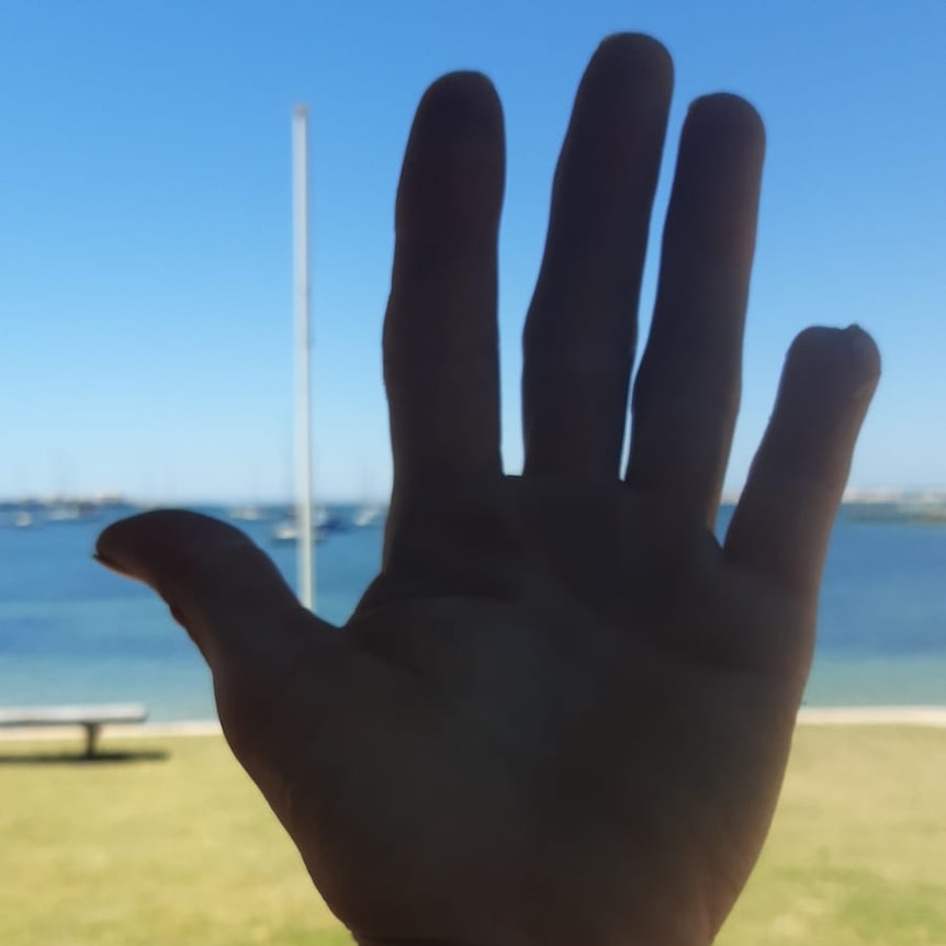 silhouette image of a hand with part of small finger missing.