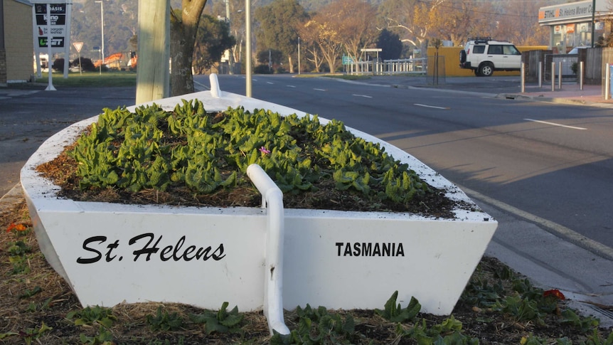 Flower bed on the main street of St Helens