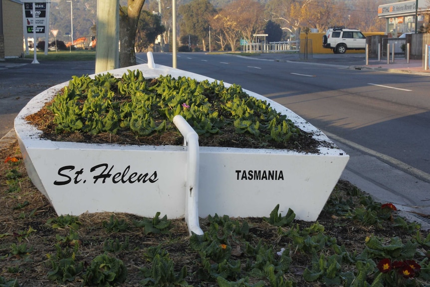 Flower bed on the main street of St Helens