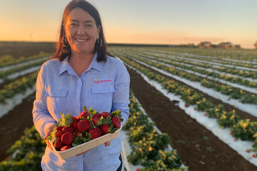 femme tenant des fraises.