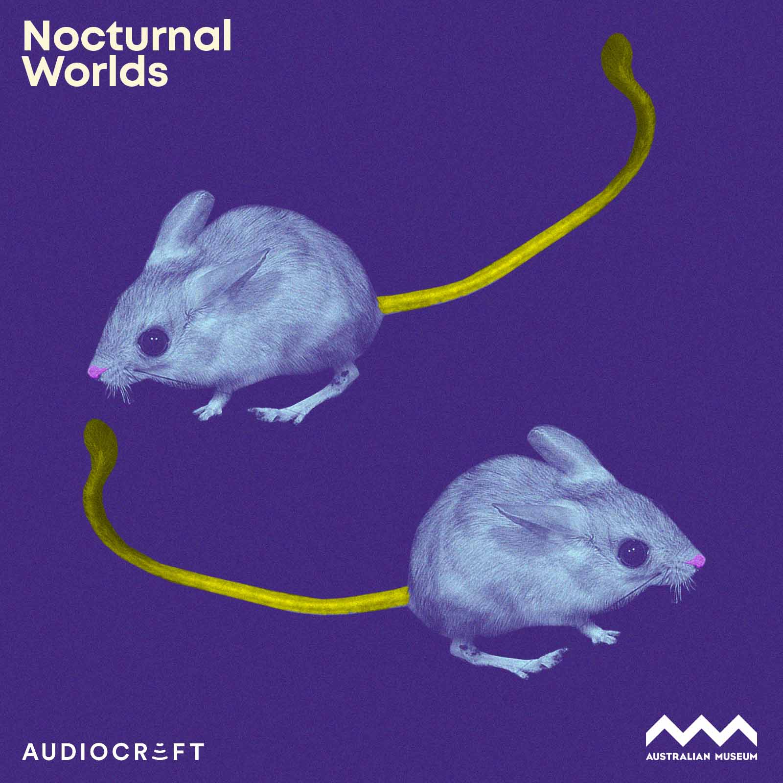 Illustration of two mice with elongated yellow tails, set against a purple background, alongside "Nocturnal Worlds" branding.