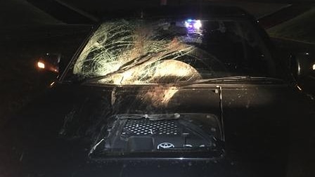 Car windscreen damaged by wheelie bin