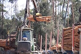 Loading truck in a logging coupe