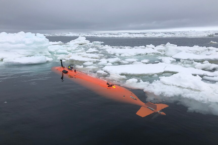A bright orange cylindrical unmanned submarine floats amongst sea ice on the surface of dark, deep water.