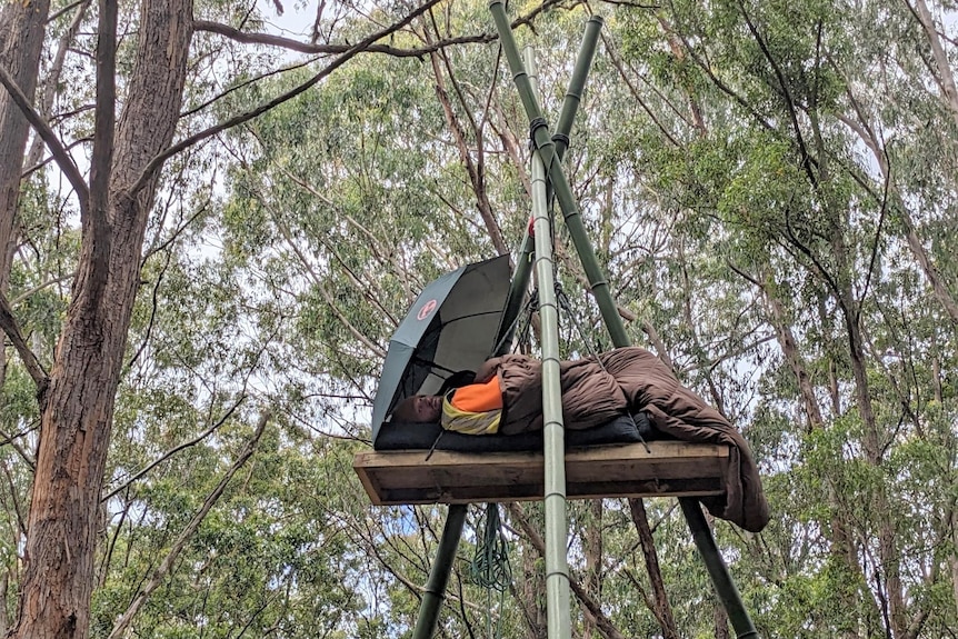 Man lying on platform on tripod in a forest