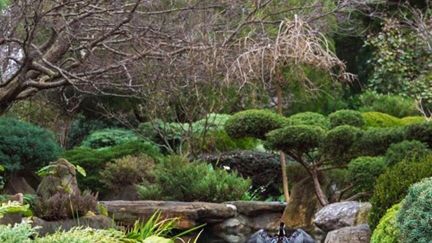 Himeji Gardens in Adelaide Parklands