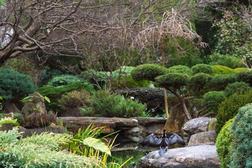 Himeji Gardens in Adelaide Parklands