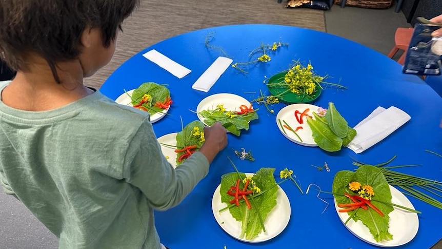 A little boy carefully sprinkles chives onto pretty plates of red capsicum and green leaves