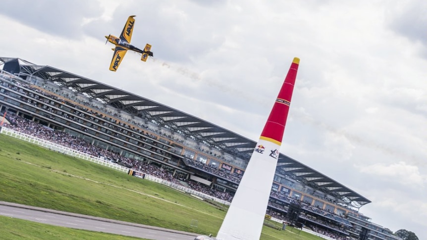 Pilot Matt Hall at Royal Ascot