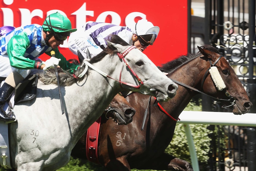 Budriguez, ridden by Craig Williams (white and purple silks) dead heats with Puissance de Lune, ridden by Glen Boss.