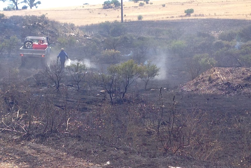 A man in a ute pours water on scorched land.