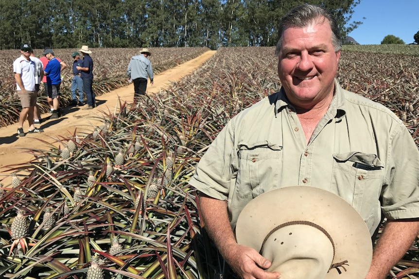 Ian Fullerton stands in front of a pineapple patch with his hat in hand and people wandering through the field in the background