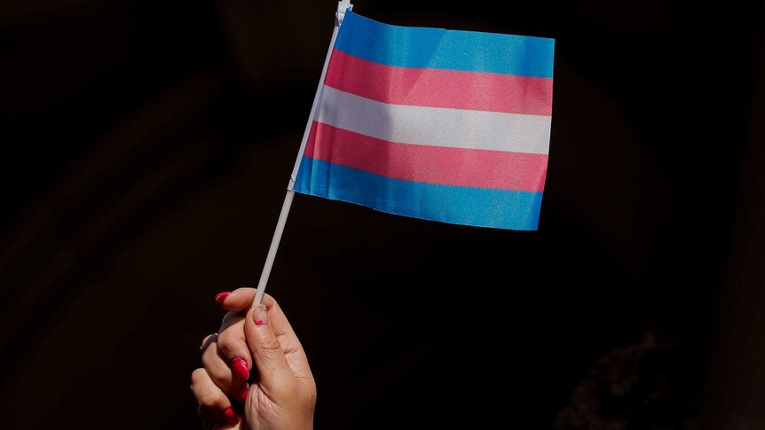 A hand holds a small transgender flag