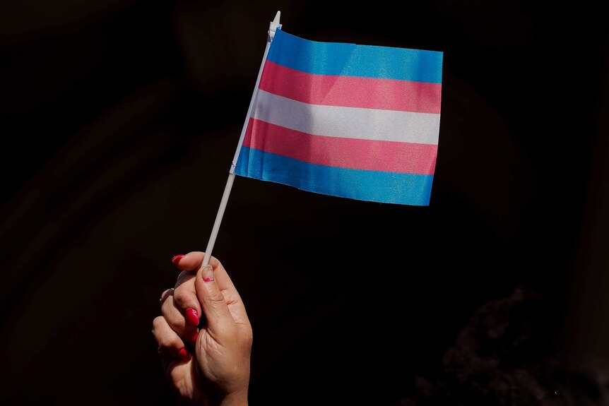 A hand holds a small transgender flag