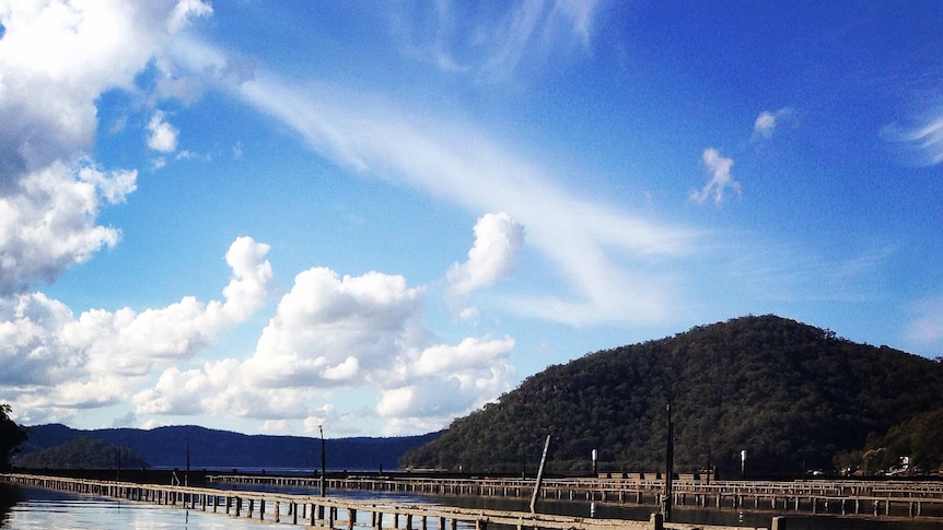 Hawkesbury River Oyster Farms