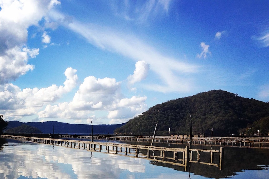 Hawkesbury River Oyster Farms