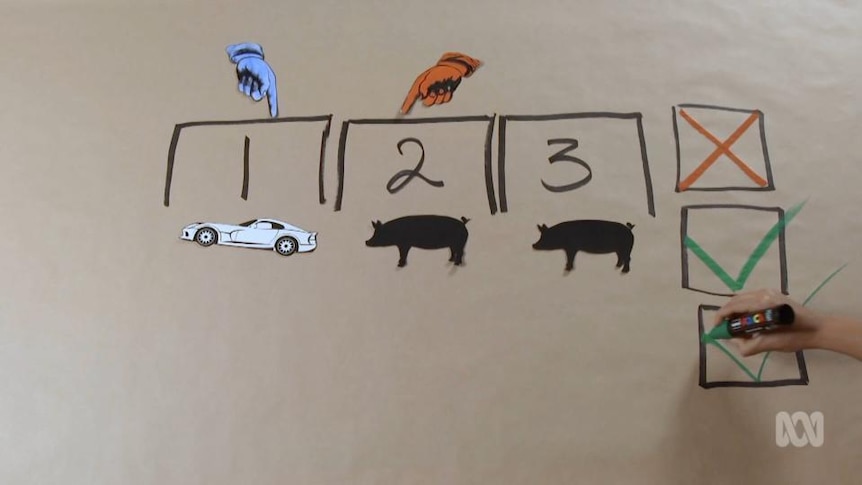 Hand writes big tick on paper beside image of car and two pigs, each numbered