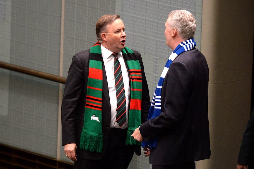 anthony albanese and tony burke wear souths and bulldogs scarves in parliament and talk to each other