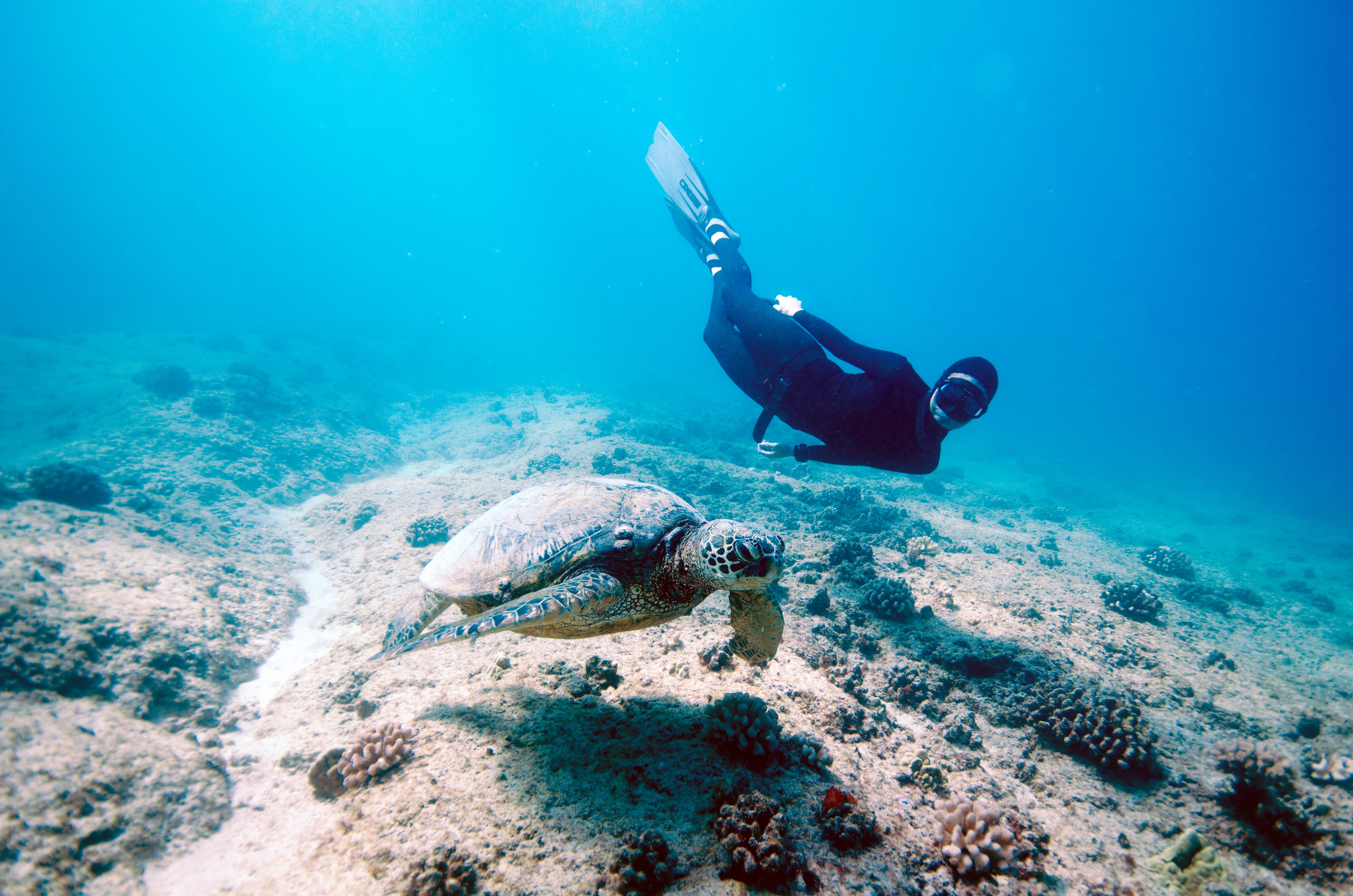 Аквалангист лодка. Макконахи золото дураков. Take dives. Take dives. Морской заповедник в израиле.