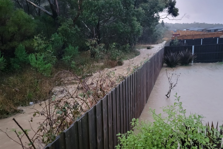 Flooded backyard in Hobart.