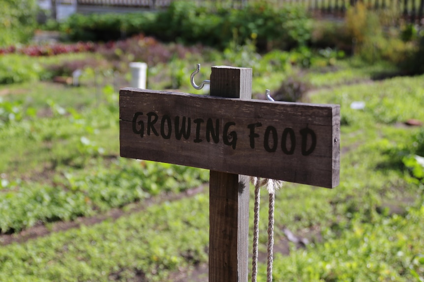 city farm growing food sign