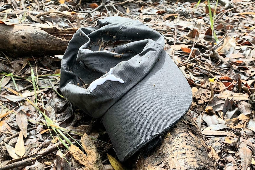 A grey hat on leafy ground on a stick