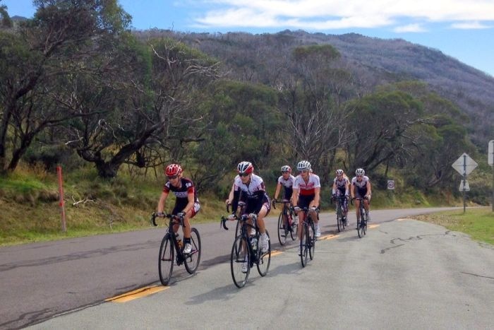 A group of cyclists in a road race