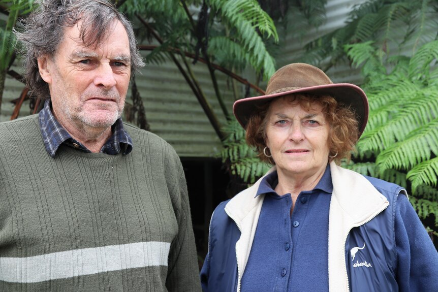 A man in a green jumper and a lady in a blue shirt and coat stnding in front of a large fern